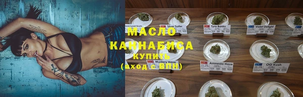 хмурый Гусев