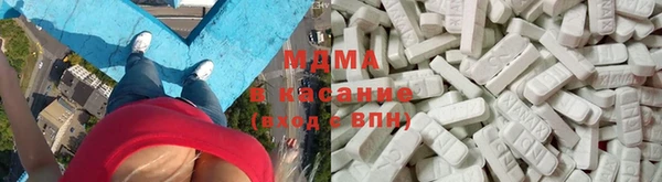 прущие грибы Гусь-Хрустальный