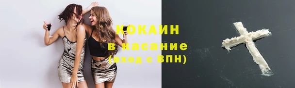 хмурый Гусев