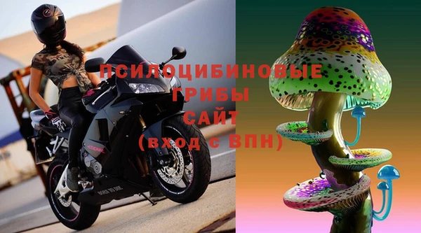 хмурый Гусев