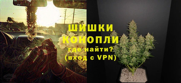 хмурый Гусев