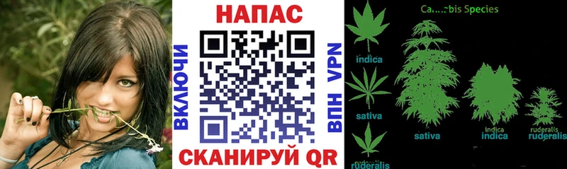 МАРИХУАНА SATIVA & INDICA  купить закладку  Гороховец 